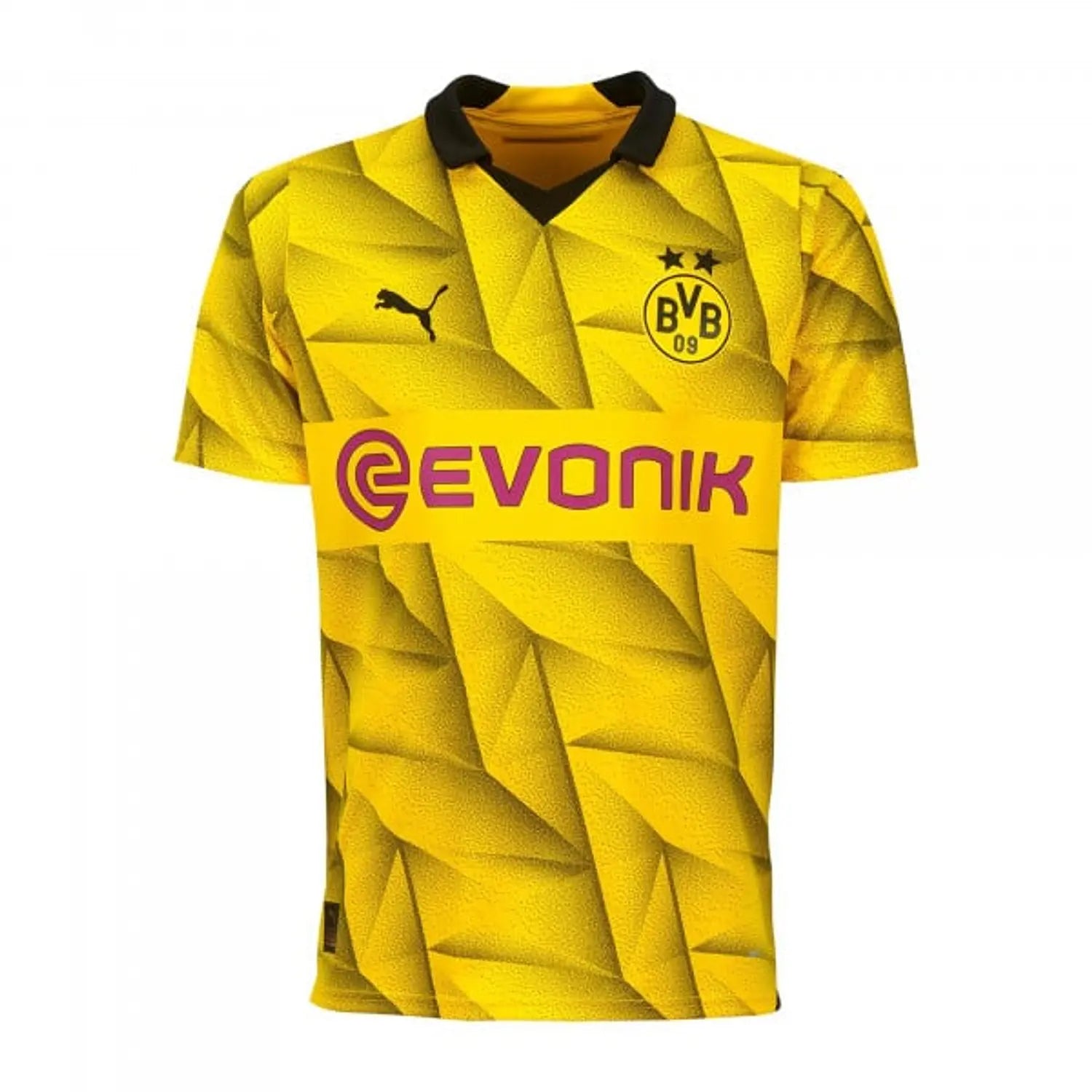Camisola Borussia Dortmund Casa 23/24 Taças