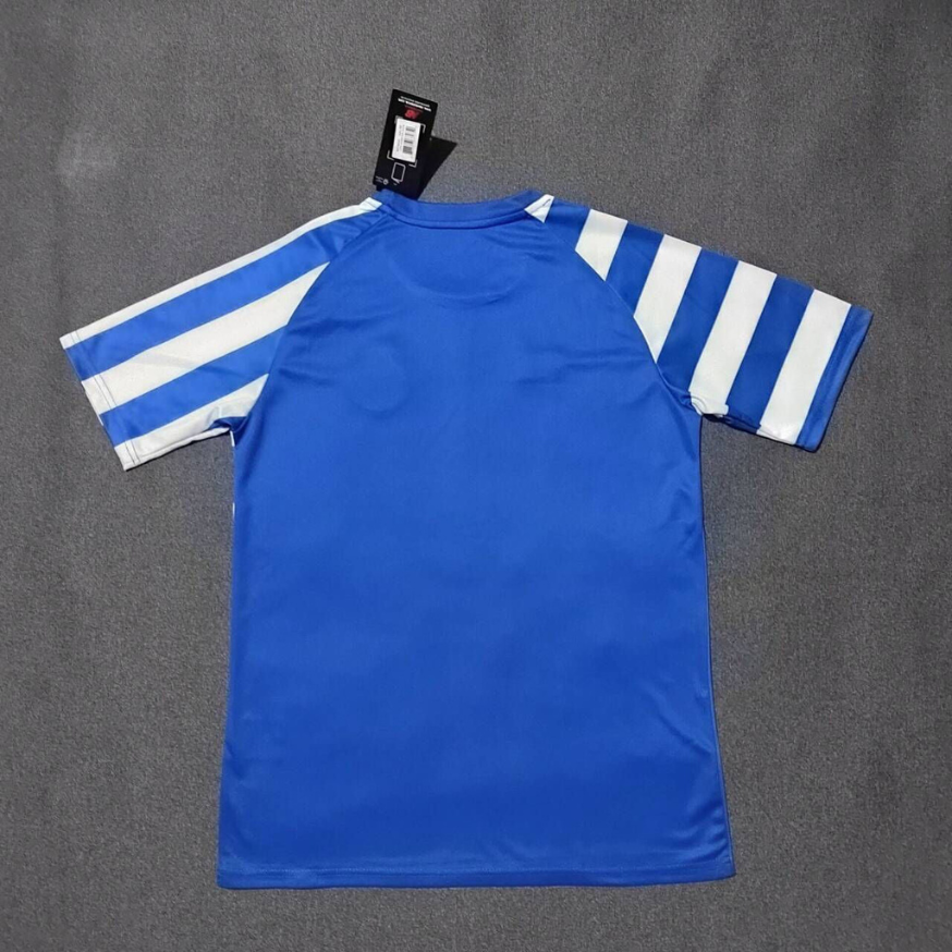 Camisola pré-jogo azul/branco 24/25