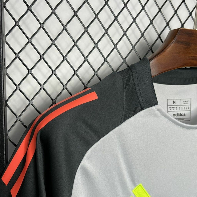 Camisola de treino cinzenta 24/25