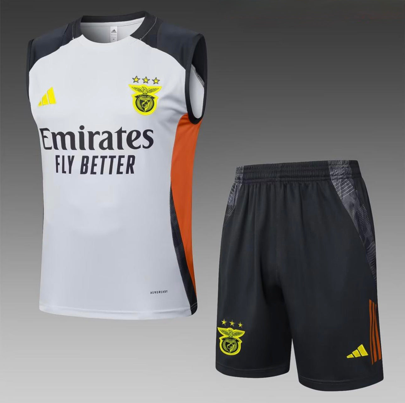 Conjunto de Treino Adulto 25/26