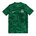 Camisola pré-jogo verde 25/26 - LANÇAMENTO