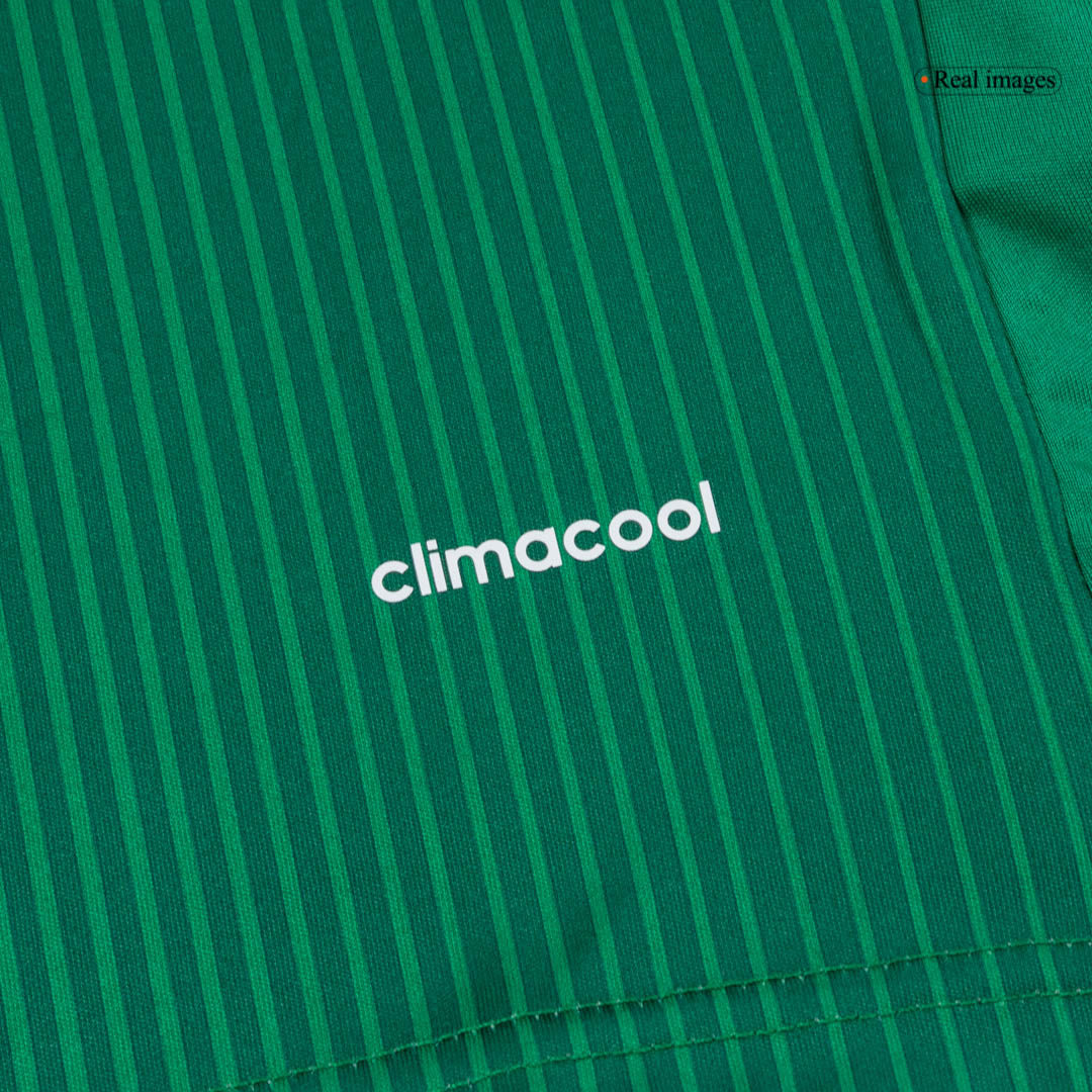 Retro México Camisola Principal 2014 Verde
