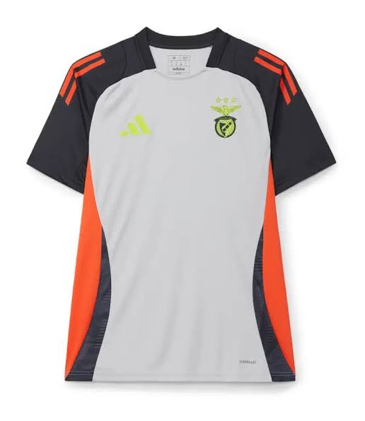 Camisola de treino cinzenta 24/25